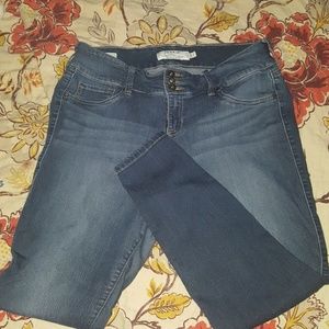 Torrid Jeggings
